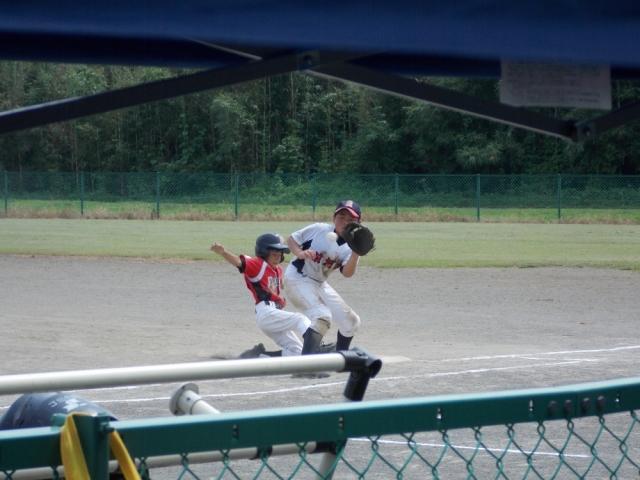 �`�[���ʐ^