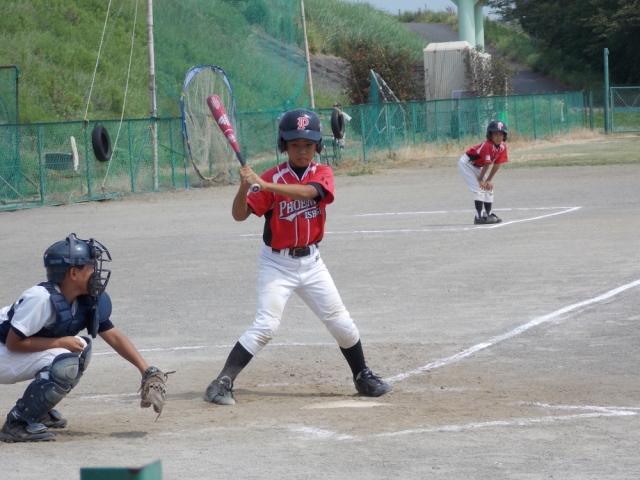 �`�[���ʐ^