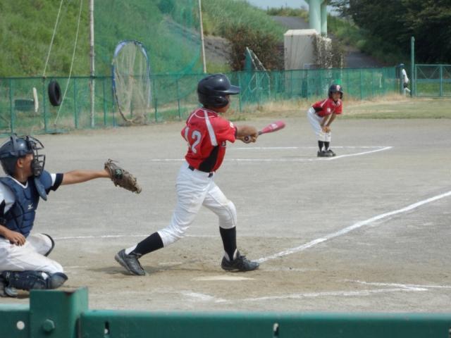 �`�[���ʐ^