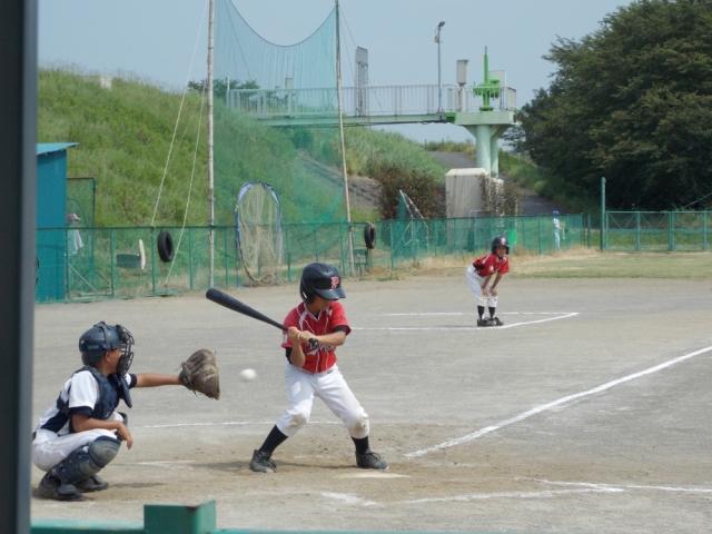 �`�[���ʐ^