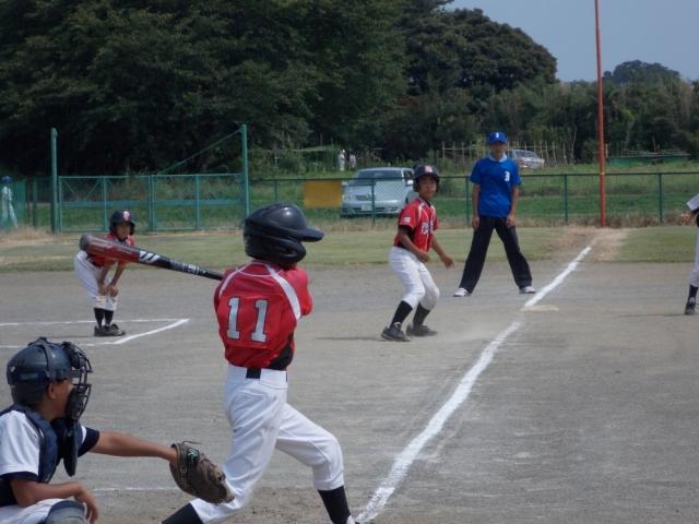 �`�[���ʐ^