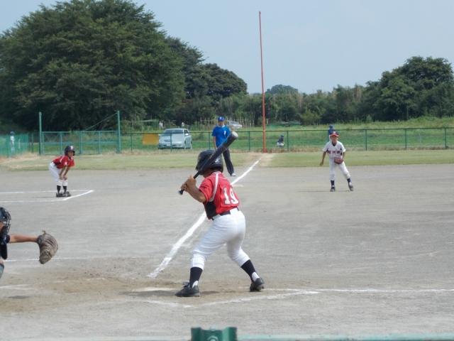 �`�[���ʐ^