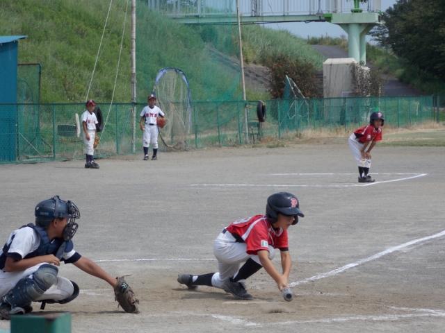 �`�[���ʐ^