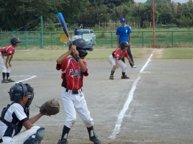 �`�[���ʐ^