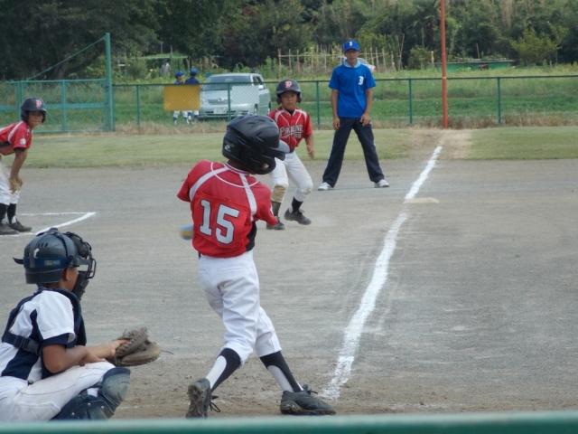 �`�[���ʐ^