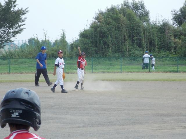 �`�[���ʐ^