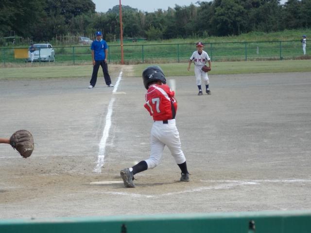 �`�[���ʐ^