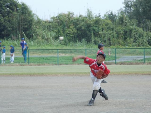 �`�[���ʐ^