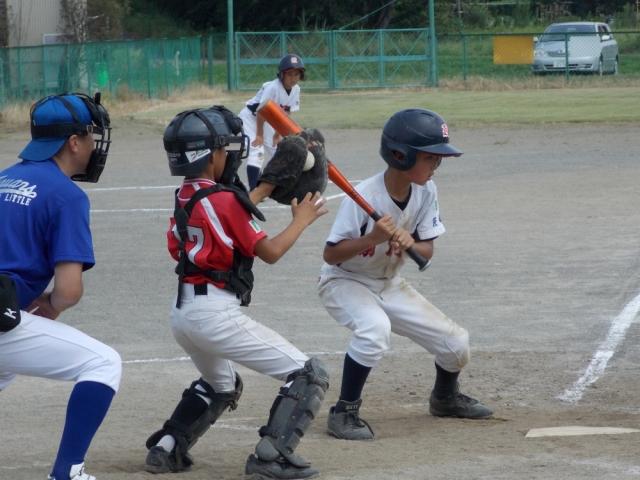 �`�[���ʐ^