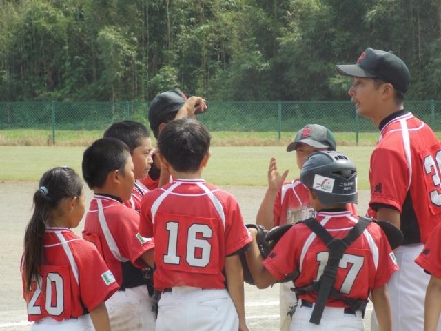 �`�[���ʐ^