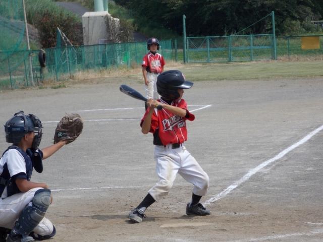 �`�[���ʐ^