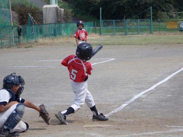 �`�[���ʐ^