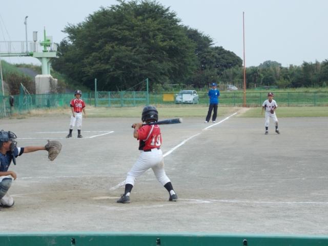 �`�[���ʐ^