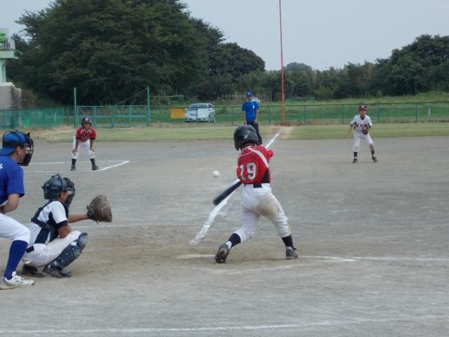 �`�[���ʐ^