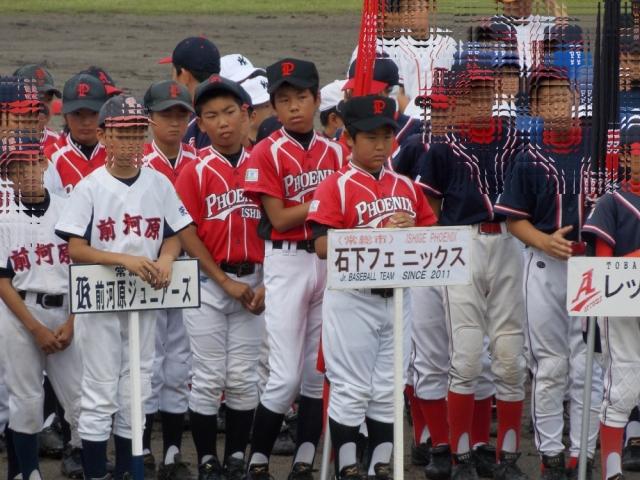 �`�[���ʐ^