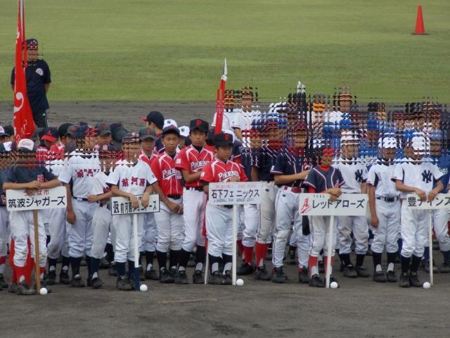 �`�[���ʐ^