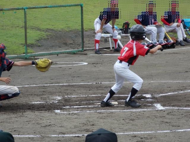 �`�[���ʐ^