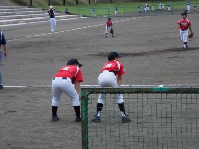 �`�[���ʐ^