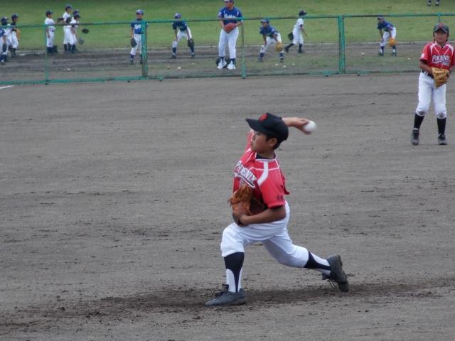 �`�[���ʐ^