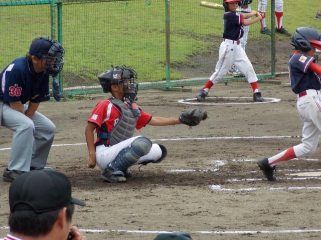 �`�[���ʐ^