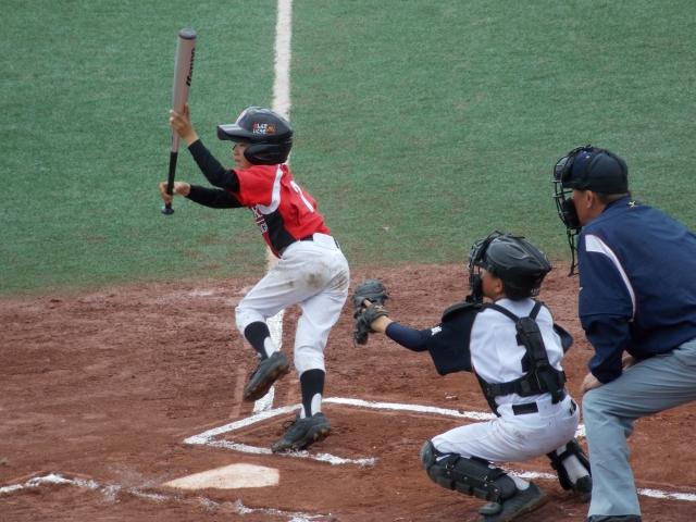 �`�[���ʐ^