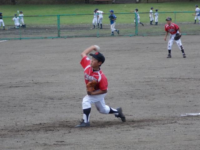 �`�[���ʐ^