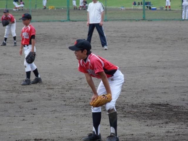 �`�[���ʐ^