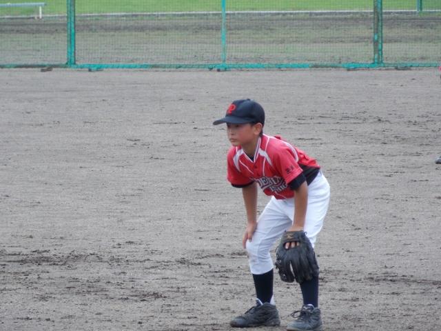 �`�[���ʐ^