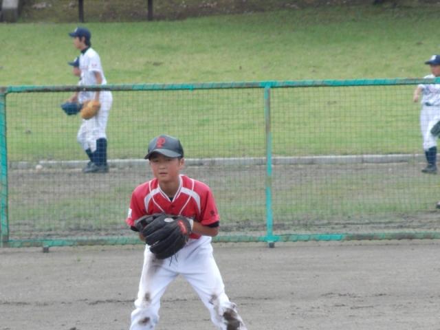 �`�[���ʐ^