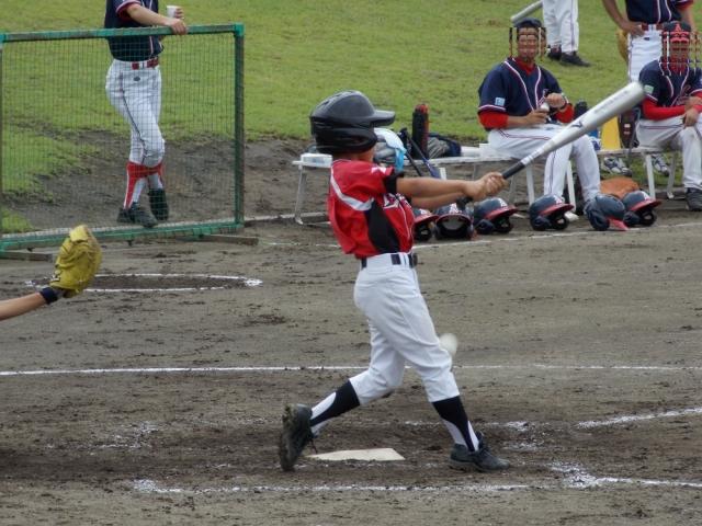 �`�[���ʐ^