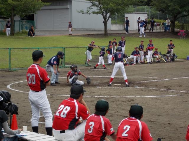 �`�[���ʐ^