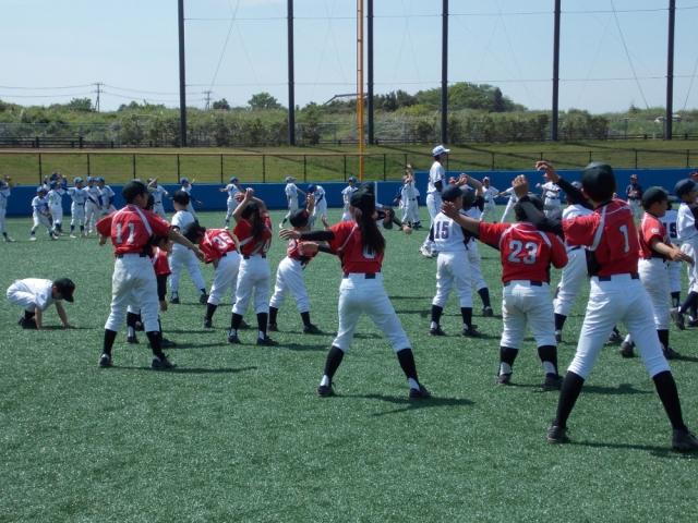 �`�[���ʐ^