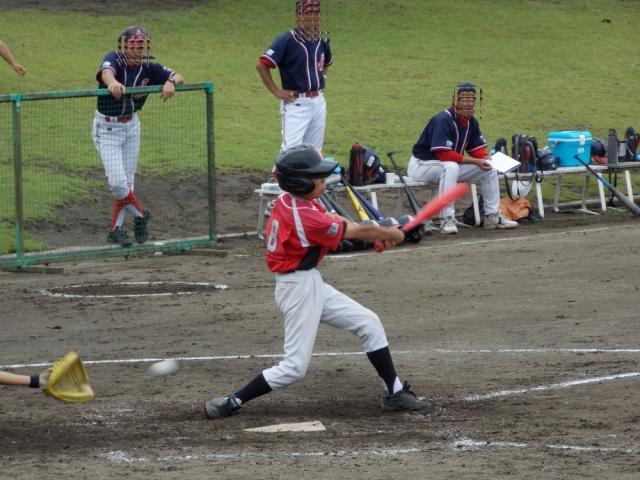 �`�[���ʐ^