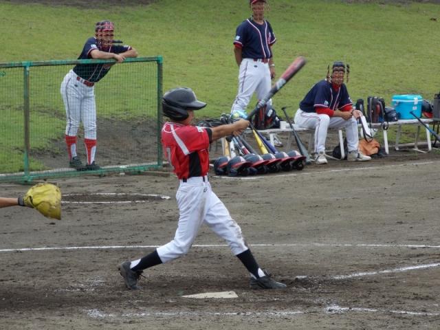 �`�[���ʐ^