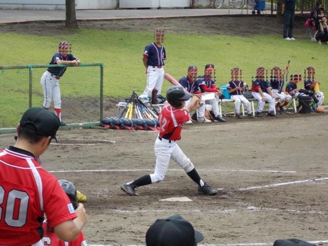 �`�[���ʐ^