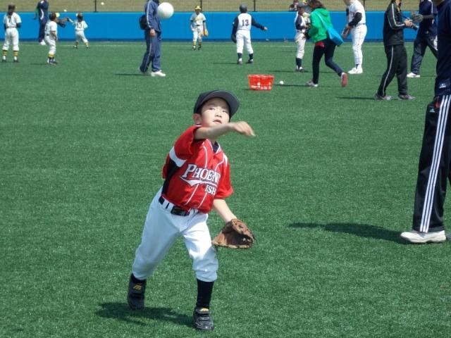 �`�[���ʐ^