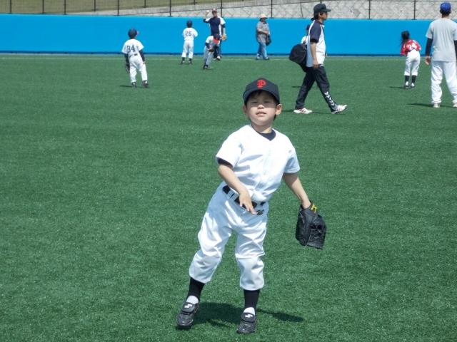 �`�[���ʐ^