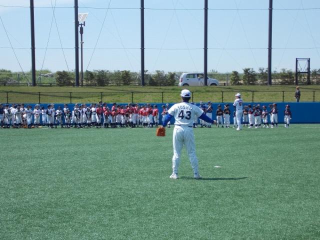 �`�[���ʐ^