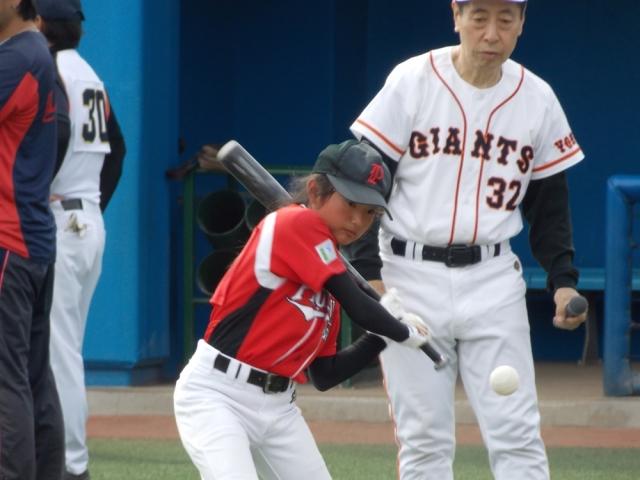 �`�[���ʐ^