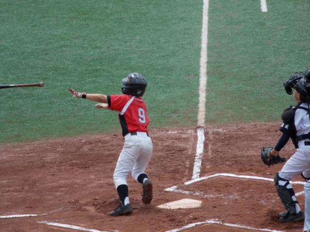 �`�[���ʐ^