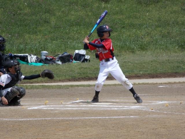 �`�[���ʐ^