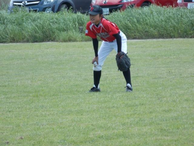 �`�[���ʐ^