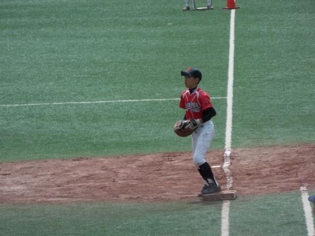 �`�[���ʐ^