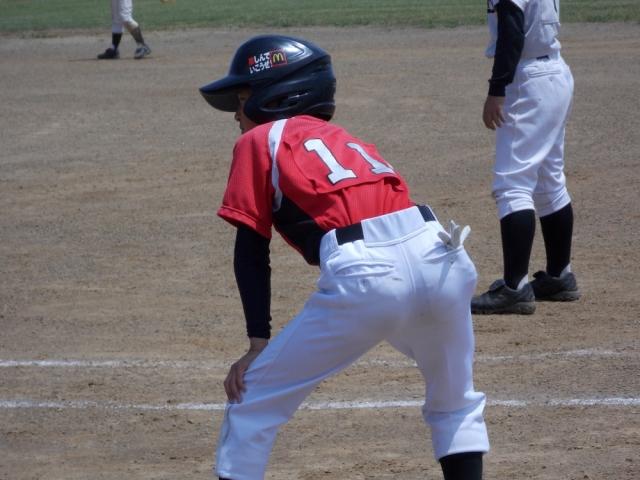 �`�[���ʐ^