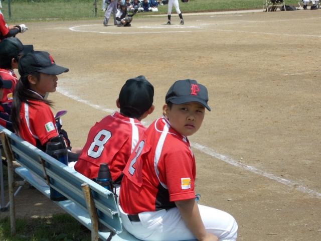 �`�[���ʐ^