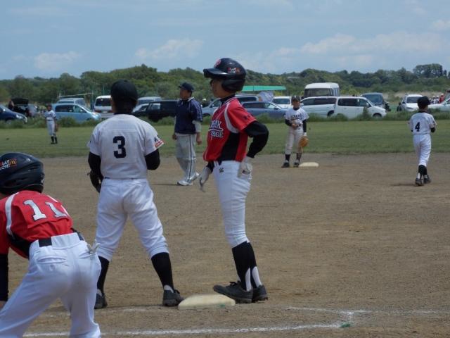 �`�[���ʐ^