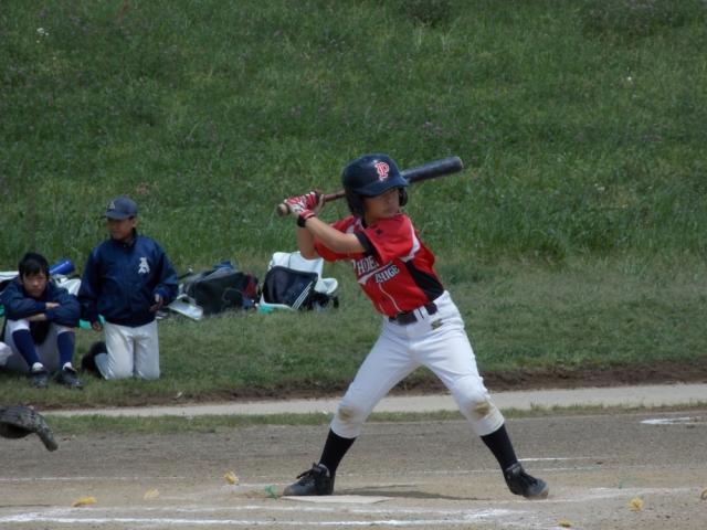 �`�[���ʐ^