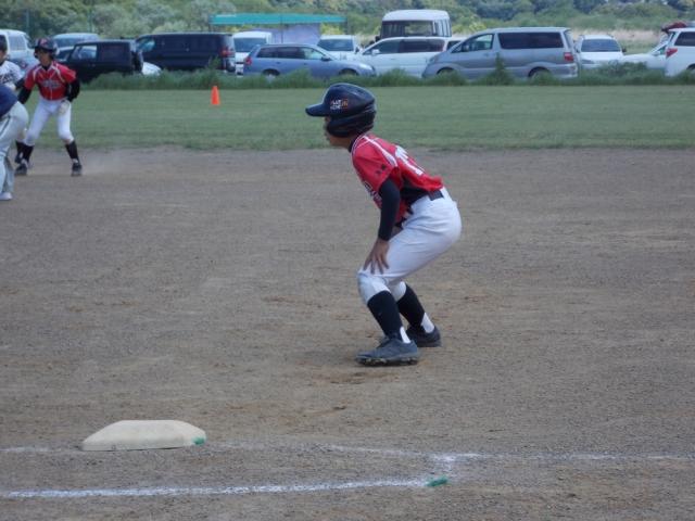 �`�[���ʐ^