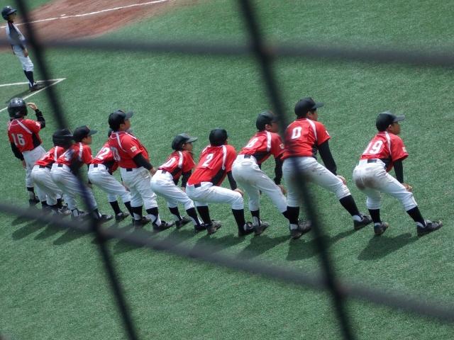 �`�[���ʐ^