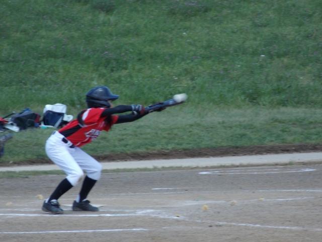 �`�[���ʐ^